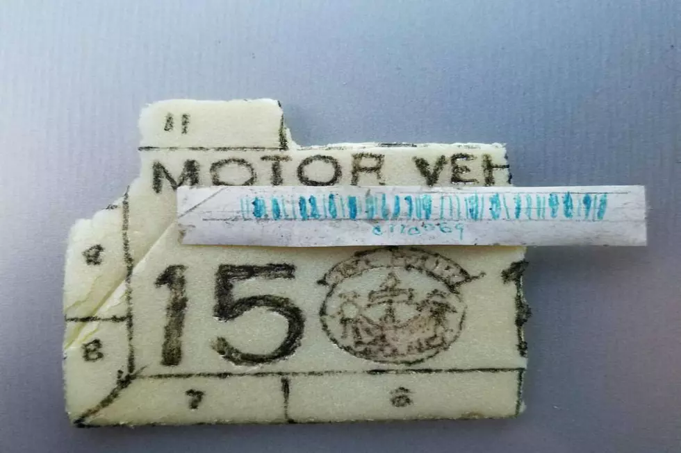 Police Pull Over Driver For Inspection Sticker Made Of Styrofoam