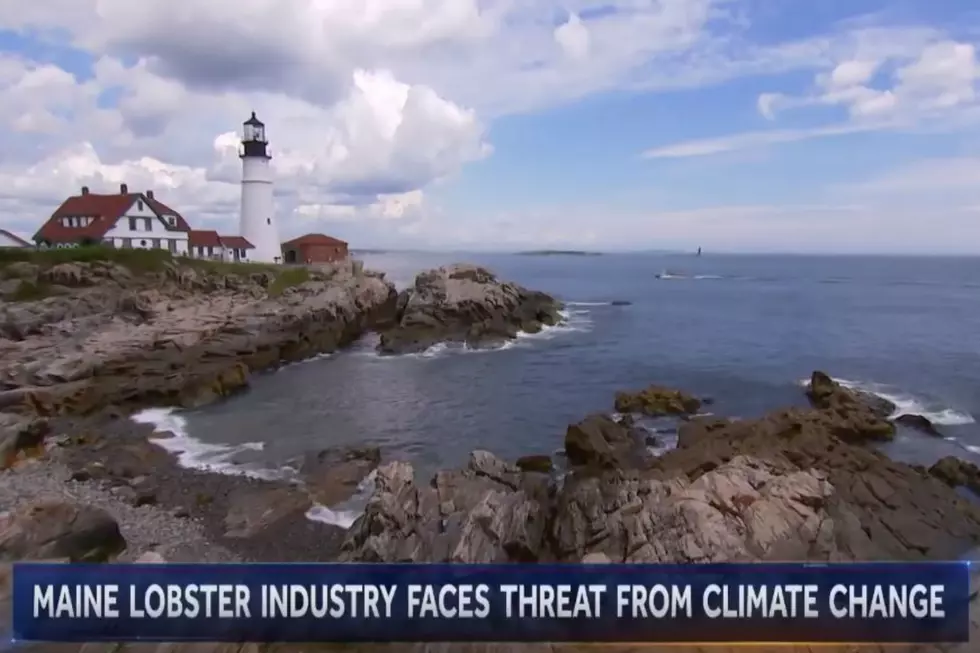 NBC News Travels To Maine For Story on Lobster Industry and Climate Change