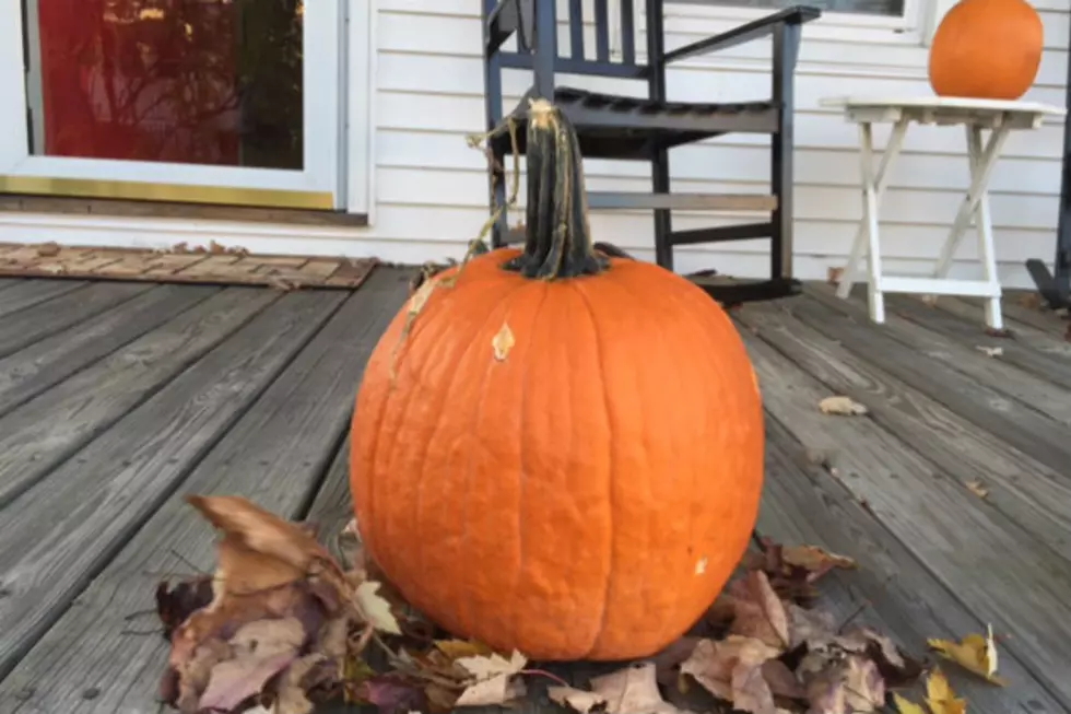 What to do With Blimpville’s Uncarved Pumpkins!