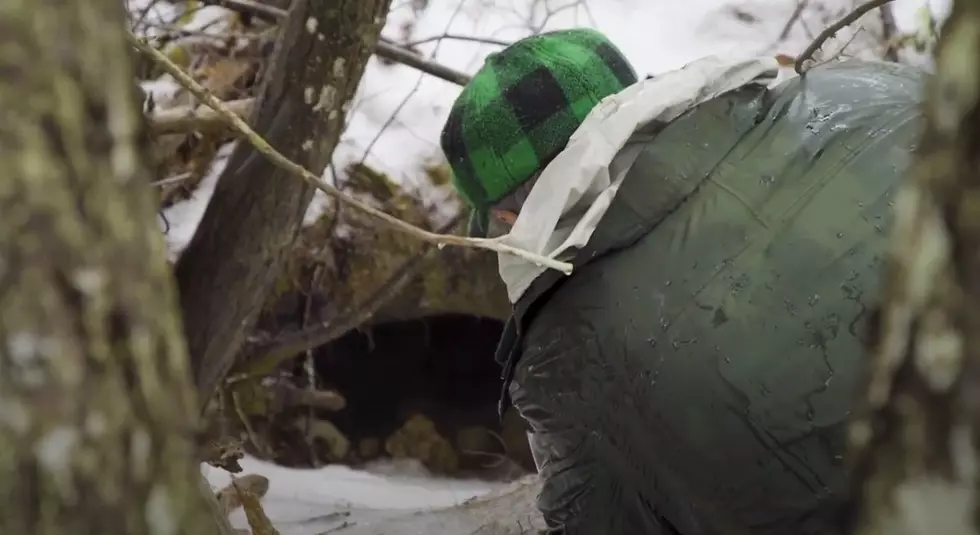 See Maine Black Bears Up Close In the Den With Teagan Wright