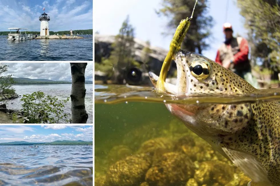 Maine’s Best-Kept Secret: 3 Lakes for Ultimate Fishing