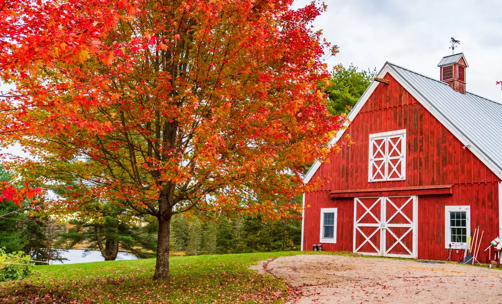 Fall’s in Full Swing, So Catch Maine’s Colors Before They Fade